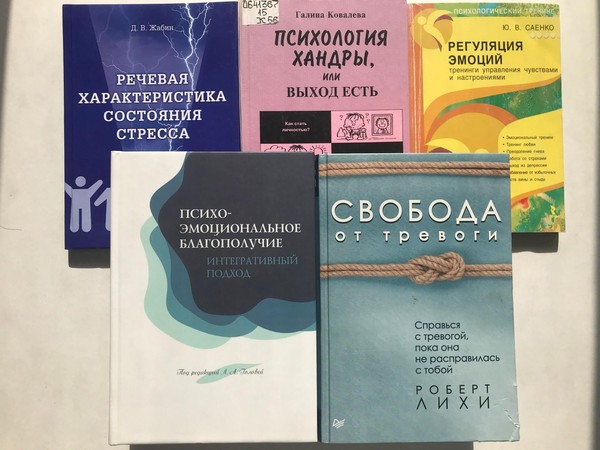 День психологии в Никитинке «Движение к позитиву»