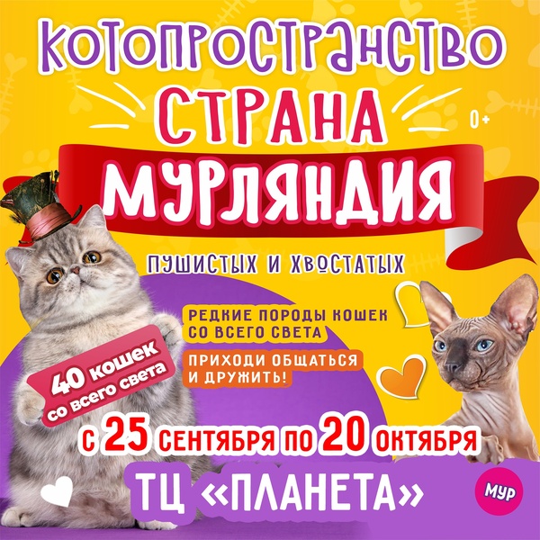 выставка кошек и котов Страна Мурляндия