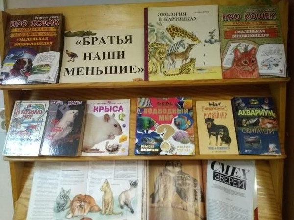 Книжная выставка «Братья наши меньшие»