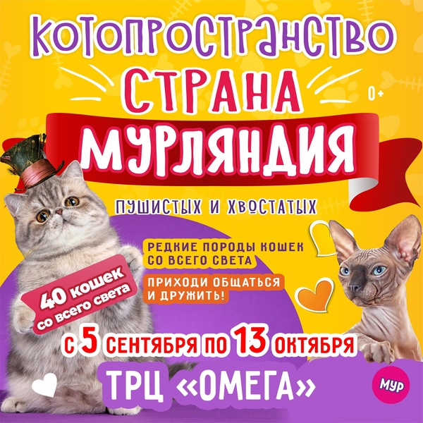 выставка кошек Страна Мурляндия