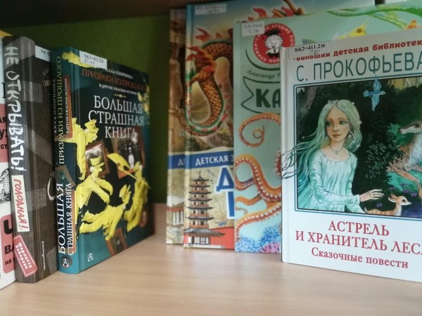 Книжная выставка «Новинки из книжной корзинки»