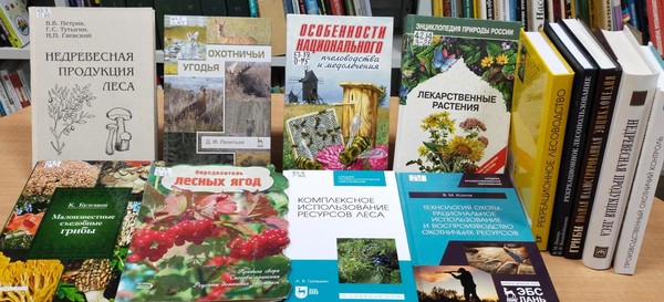 Книжная выставка «Кладовая российского леса»