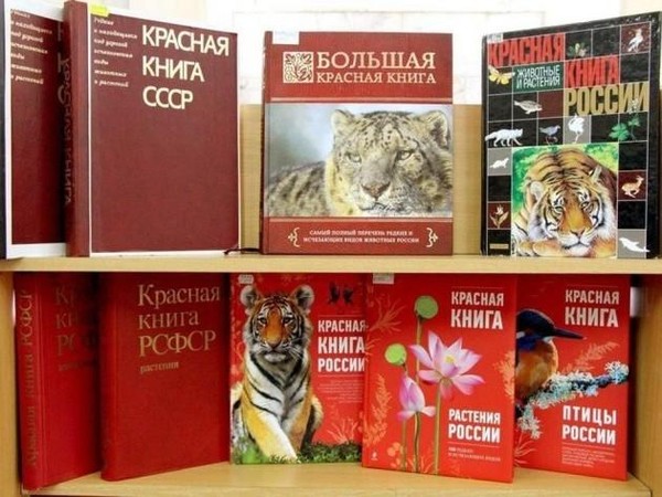 Познавательный час «Галерея Красной книги»