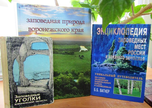 Виртуальный слайд-круиз «Заветные уголки родной природы»