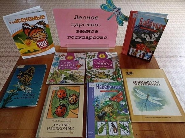 Экологический час «Знакомьтесь с теми кто ползает, летает, прыгает, порхает»