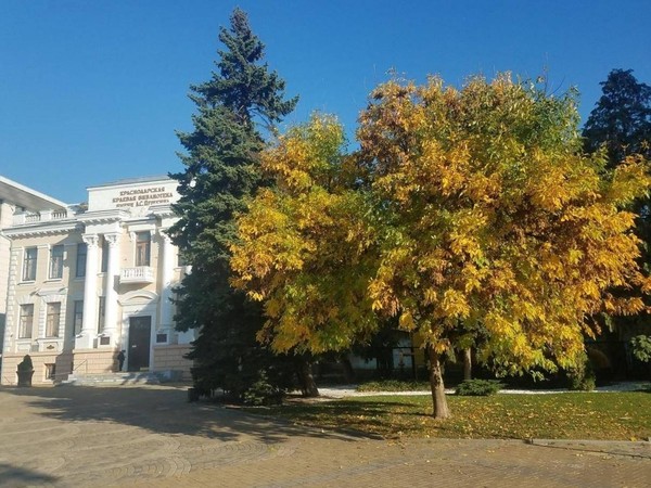 Программа «Передвижники: взгляд на русскую действительность XIX – начала XX века»