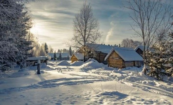 Программа «Секреты Федула Зимнего»