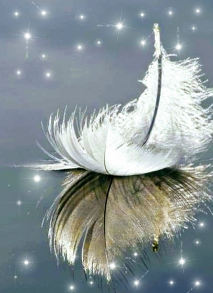 Новогодний мастер-класс по интерьерным картинам "Пёрышко"