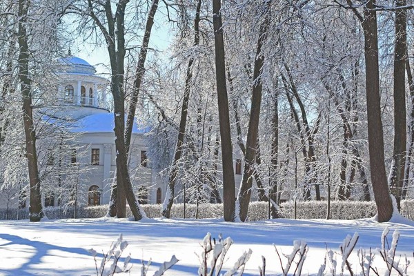 Праздничный концерт «Рождественская карусель»