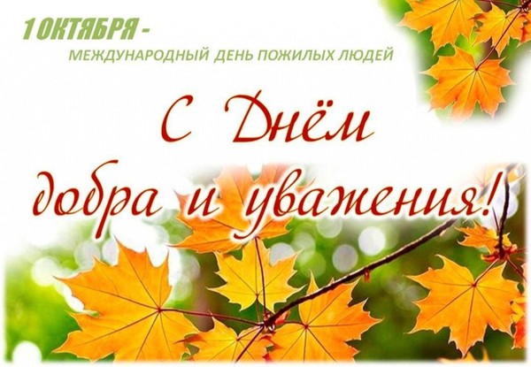 «Добрый свет ваших глаз»