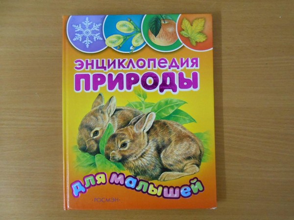 Программа «Интересное для почемучек»