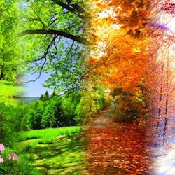 Вивальди. Времена года. Паганини. Кампанелла. Моцарт. Симфония №40