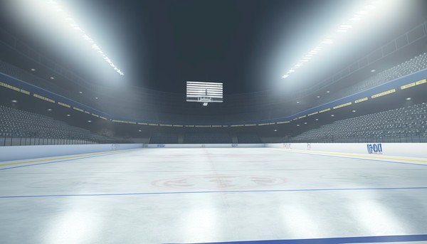 5 лет IceFights