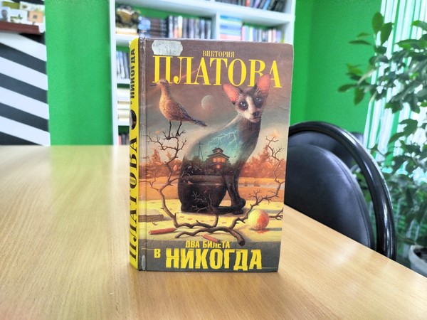 Выставка «Виктория Платова»