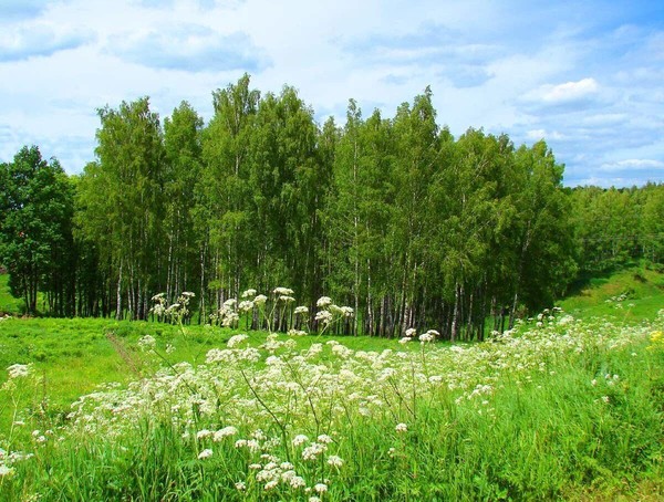 Тематическая экскурсия «Природа Тульского края»