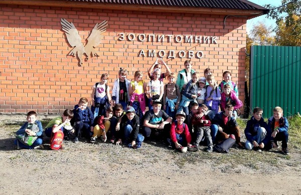 Экскурсия в зоопитомник «Амодово»