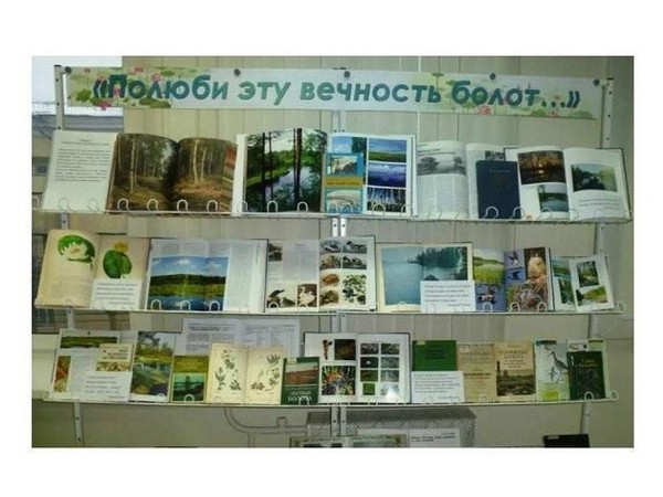 Час информации «Посиделки на болоте»