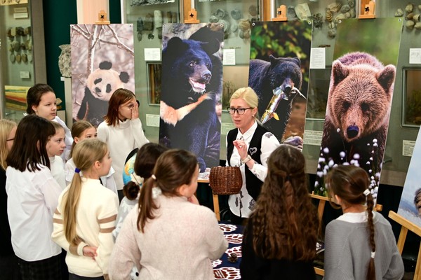Программа «Бурый медведь: объясняем в деталях»