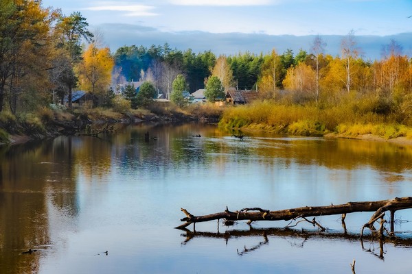 Пятая отчетная выставка фотоклуба «Рязань»