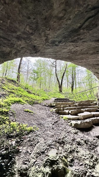 Что скрывает Хоста? Лёгкий треккинг по каньону, пещере и чайным плантациям