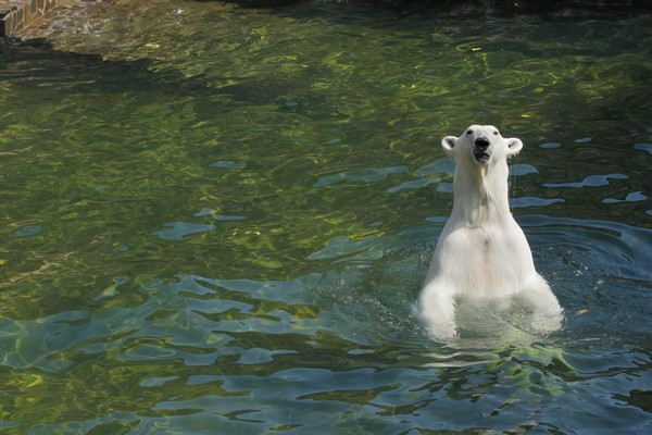 Ленинградский зоопарк