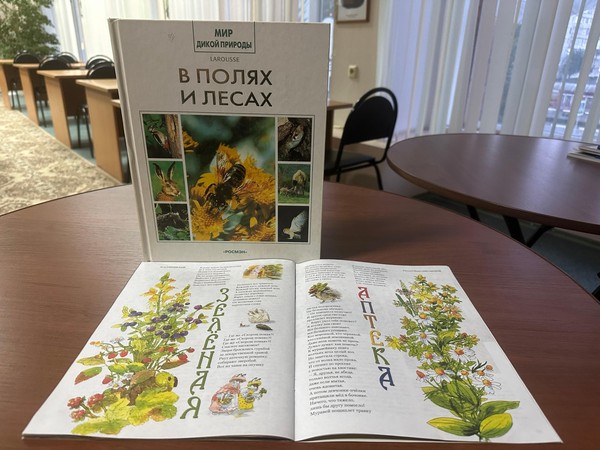 Экспозиция «Дары природы»