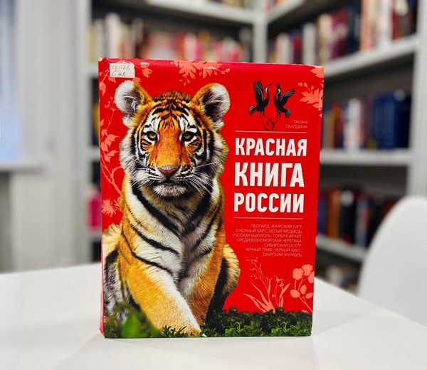 Беседа «Красная книга: сокровища планеты»