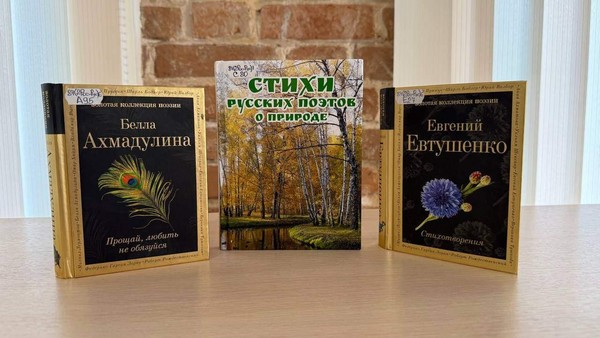 Программа «Голоса поэтов России»