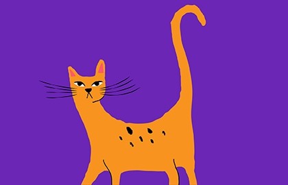 Чердак Чехова. Не всё коту масленица