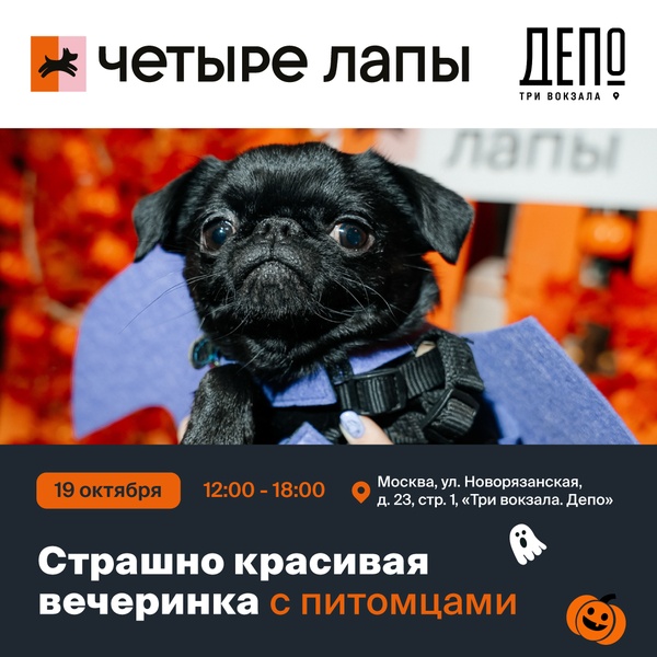 Хэллоуин для питомцев