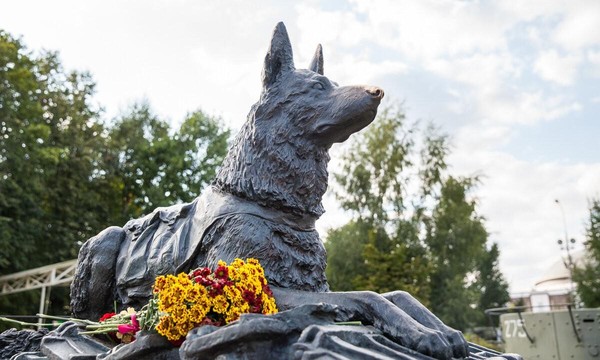 Медиа-марафон «В знак признательности и благодарности»