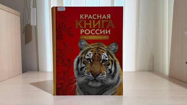 Программа «На красной странице звери и птицы»