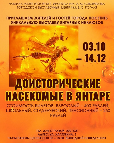 Выставка "Доисторические насекомые в янтаре"