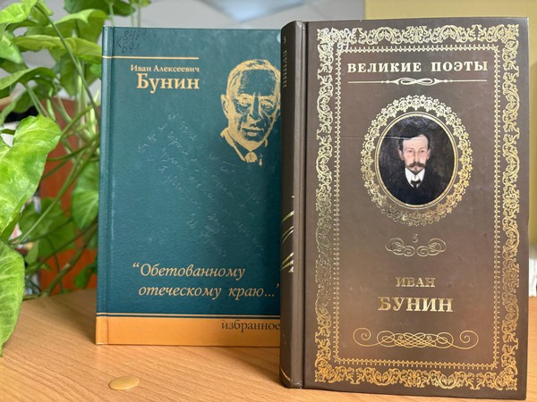 Литературный час «Штрихи к портрету писателя: жизнь и творчество И. Бунина»