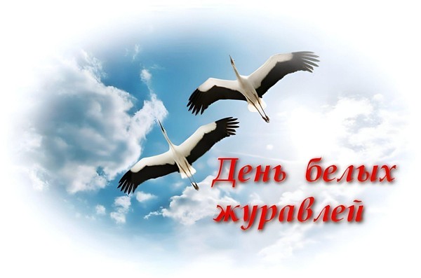 Видеожурнал «Белые журавли памяти»