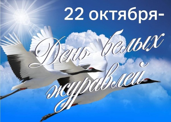 Час информации «День белых журавлей»