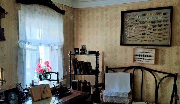 Лекция «И.П. Павлов коллекционер»