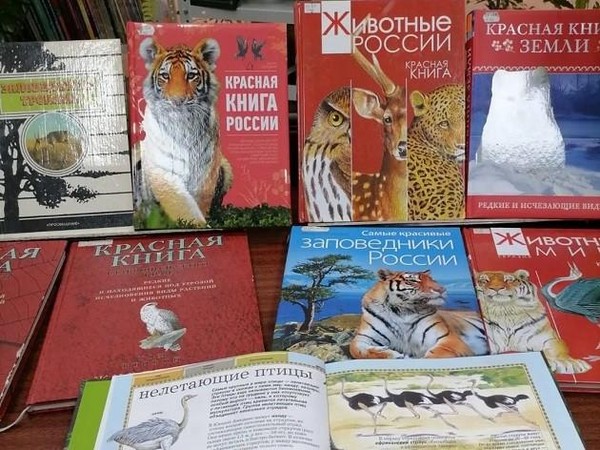Квест «Путешествие по Красной книге»