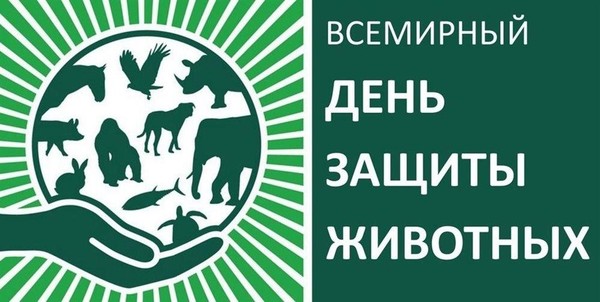 Экологическая игра «И все они создания природы»