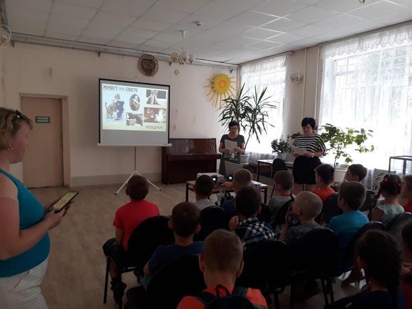 Медиапрограмма «В тени человека»