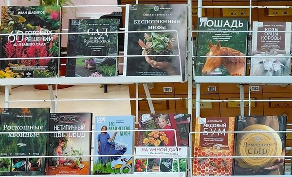 Выставка «Новые книги»