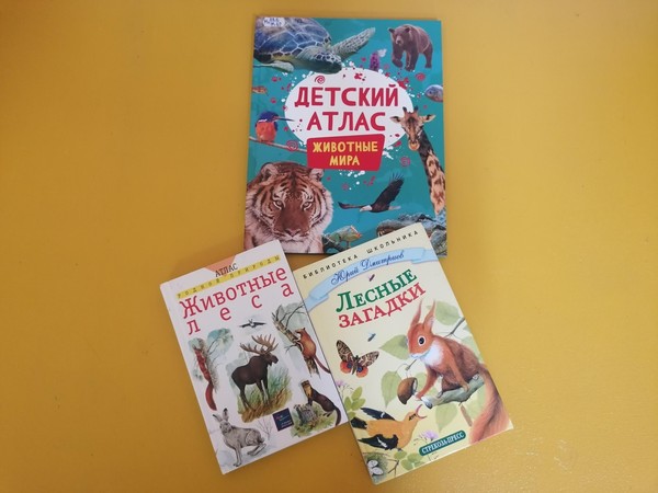 Игровая программа «Лес чудес»