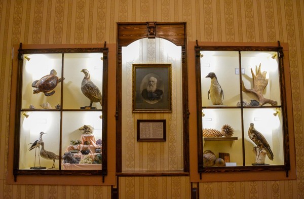 Выставка «ПОЛЕ: Просвещение, Опыт, Любовь, Единение»