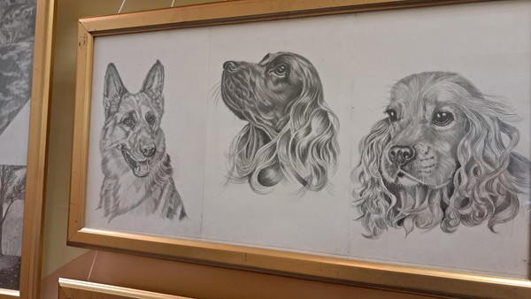 Выставка графики Марины Карелиной «Душа карандаша»