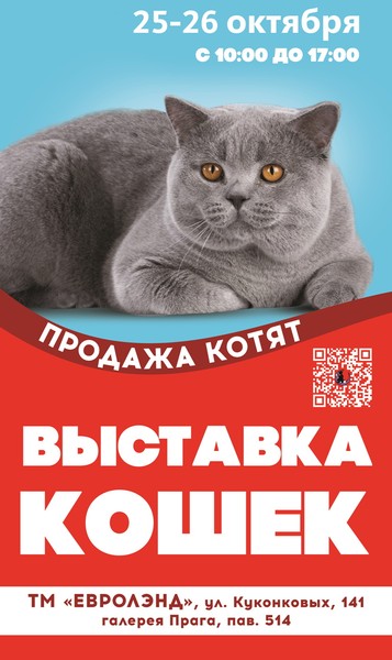 25-26 октября 2025г. г.Иваново, Выставка кошек