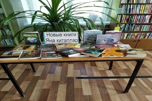Информационный час «Новый день с новой книгой»