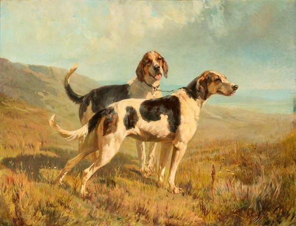 Выставка «Жизнь замечательных собак»