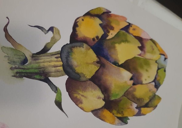 Мастер-класс «Ботанические зарисовки. Артишок»