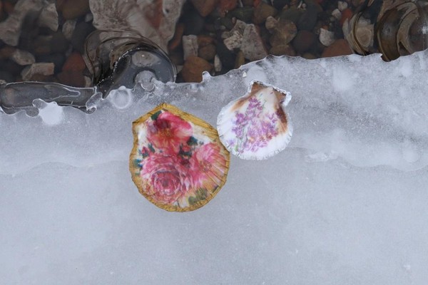 Занятие «Что живет на глубине?»