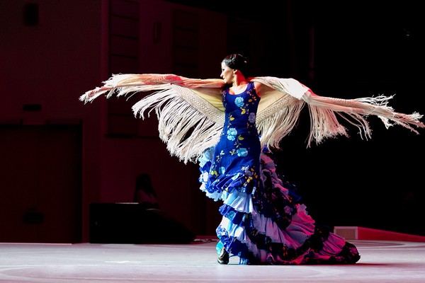 Flamenco Capriccios